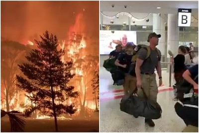 支援澳洲野火…美國消防菁英抵達雪梨機場　全大廳掌聲狂歡呼