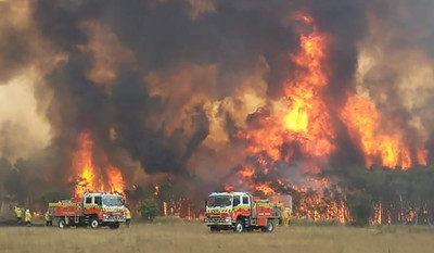澳洲降下小雨…反阻礙消防隊滅火　火勢即將合併成「超巨大野火」
