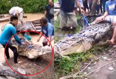 5m巨鱷「咬手臂」拖17歲女下水…卻留「超完整屍體」！　傻眼原因曝光